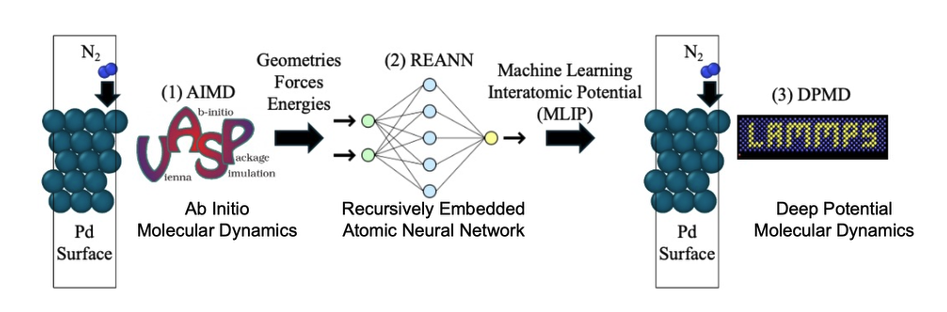 MLIP REANN project